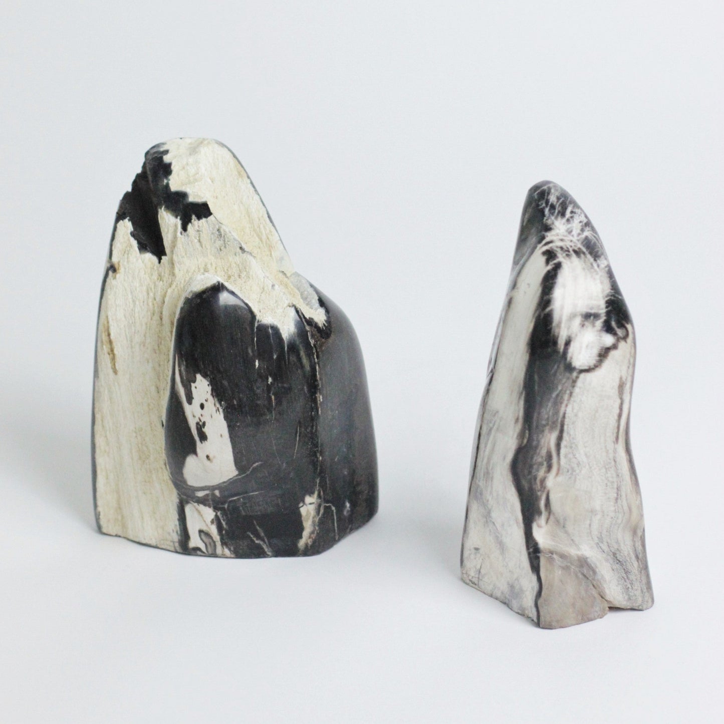 NATURAL SCULPTURE II